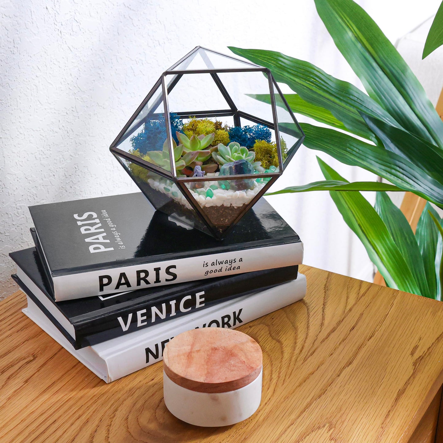 Creations by Nathalie DIY 7" Geometric Terrarium Kit - Build Your Own Glass Terrarium for Adults & Teens with Moss, Crystals, Tools & Decor - Handcrafted in the USA (Live Plant Included)