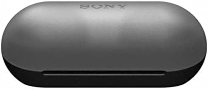Sony WF-C500 True Wireless Headphones - Up to 20 Hours Battery - Charging case - Voice Assistant Compatible - Built-in mic for Phone Calls - Reliable Bluetooth - Black