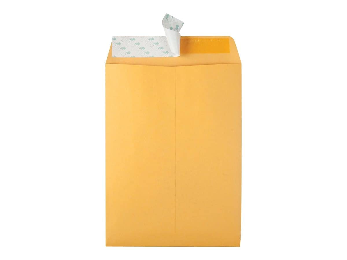 Quality Park 9 x 12 Catalog Envelopes, 100 Pack, Document Envelopes with Self Seal Closure, Heavyweight 28 lb Paper, Self Sealing Envelope for Mailing, Filing and Organizing, Brown Kraft