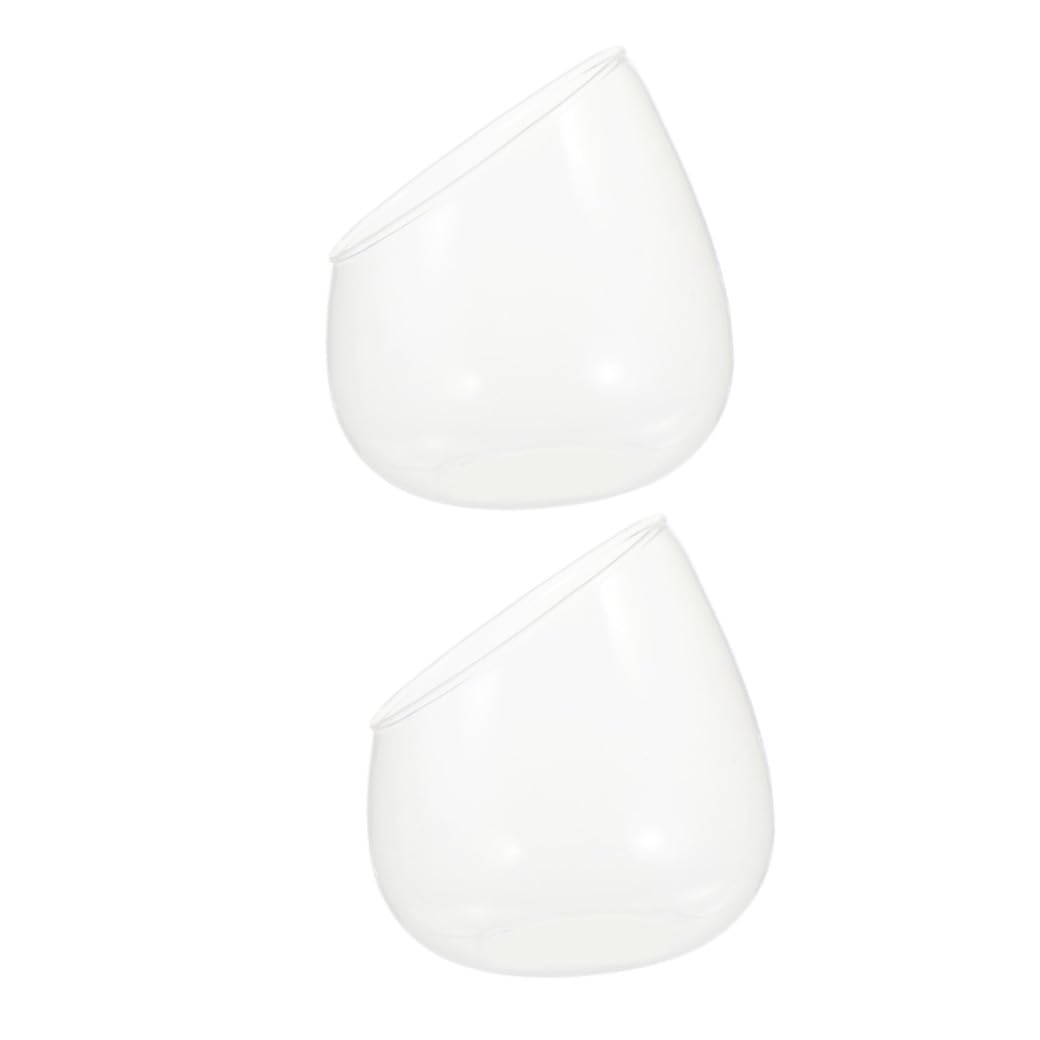 ETHZZLE 2pcs Clear Glass Terrarium Bowls Cut Flower Vases for Succulents and Air Plants Removable Terrarium Bowls for Home Decor for Table and Balcony Display