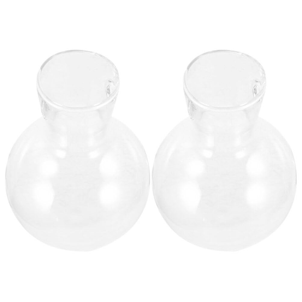 Toddmomy Hydroponic Glass Planters 2-Pack Clear Bulb Vase Accessories for Indoor Plant Propagation Table Centerpiece Home Decor Terrarium Display 3.93X2.75X2.75In
