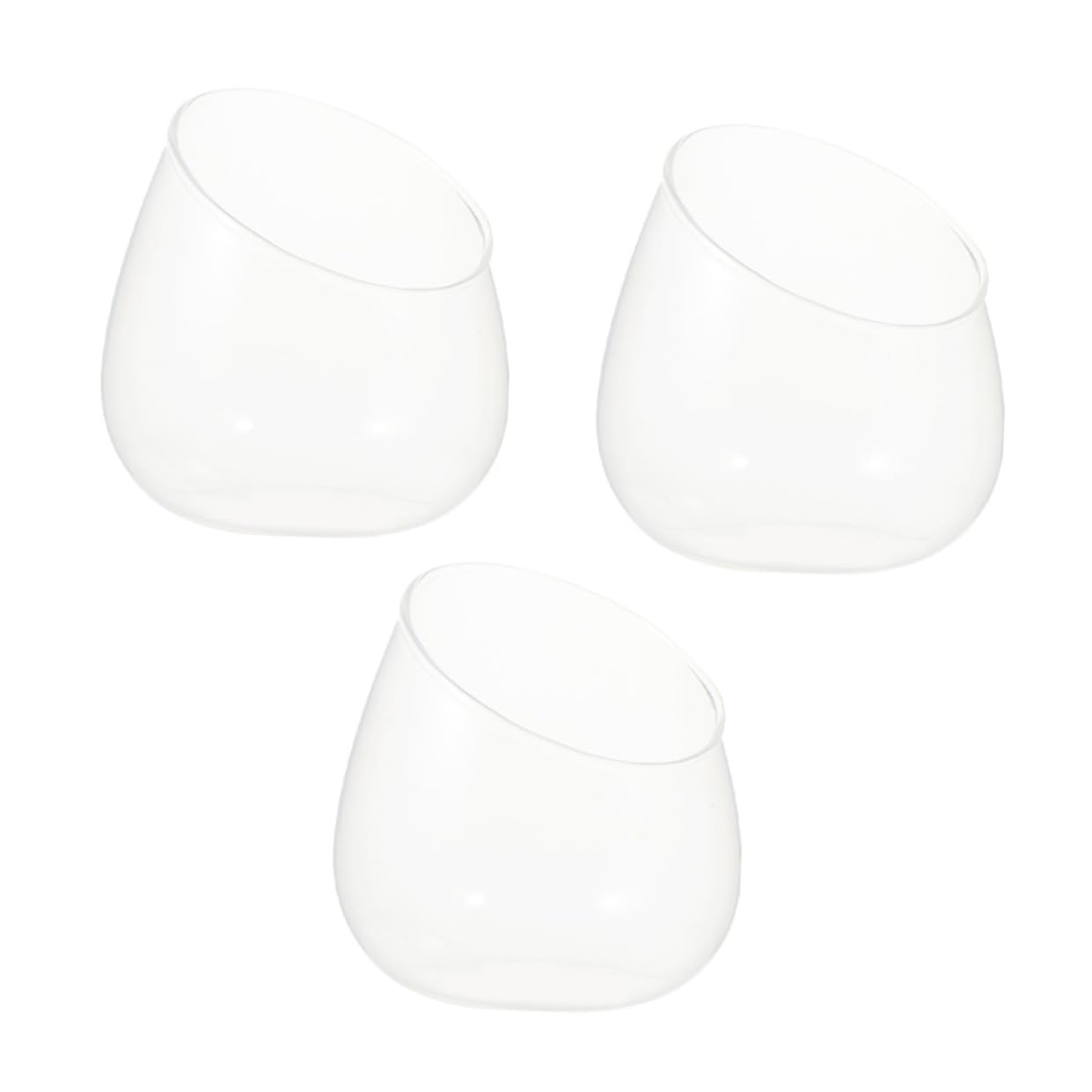 BESPORTBLE 3pcs Slant Cut Glass Landscape Bottles Micro Landscape Ecological Glass Containers for Desktop Plant Terrarium Succulent Decoration
