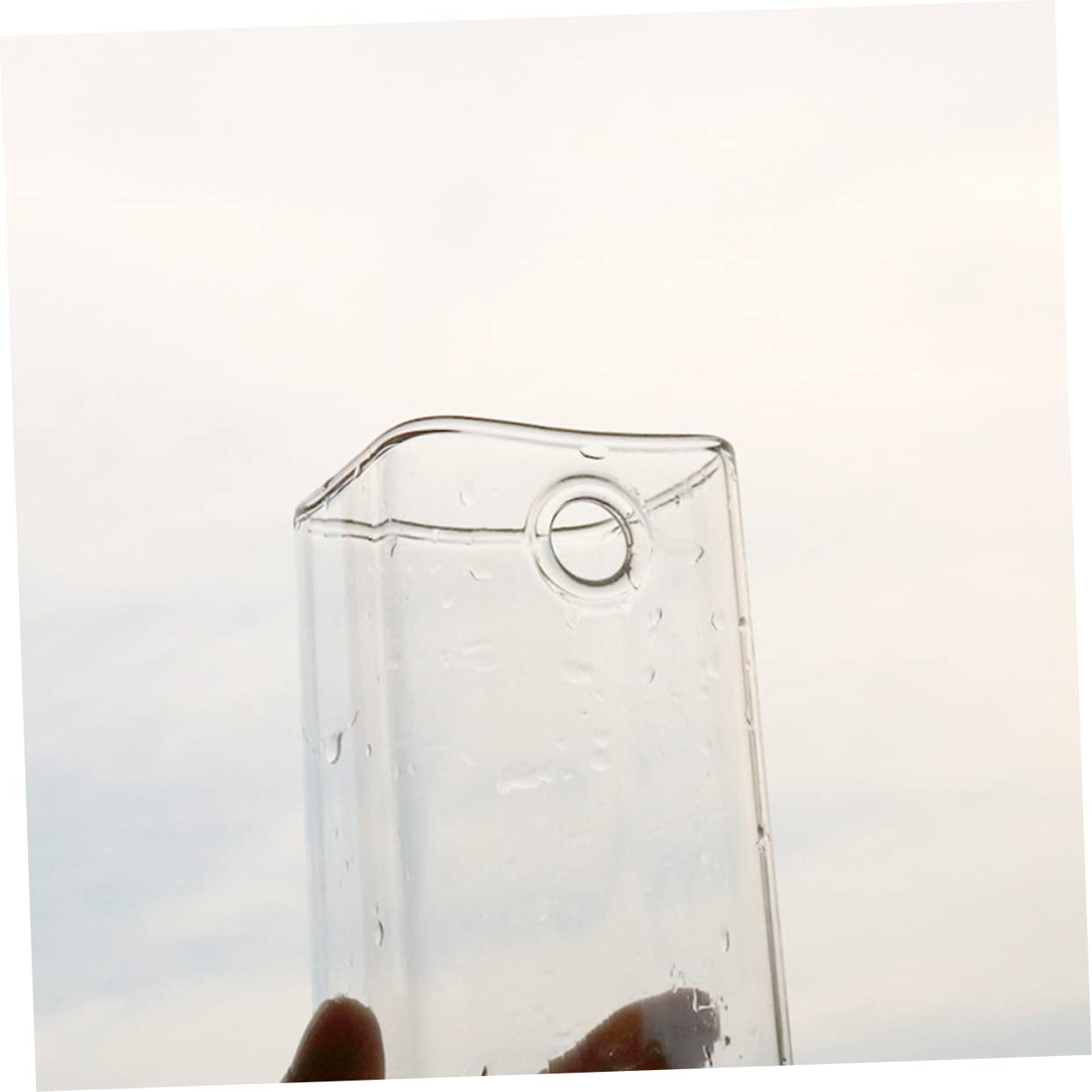 Abaodam Creative Wall Hanging Glass Flower Vase for Water Planting Terrarium Container Decor Unique Design for Indoor Plants Eye Catching Planter