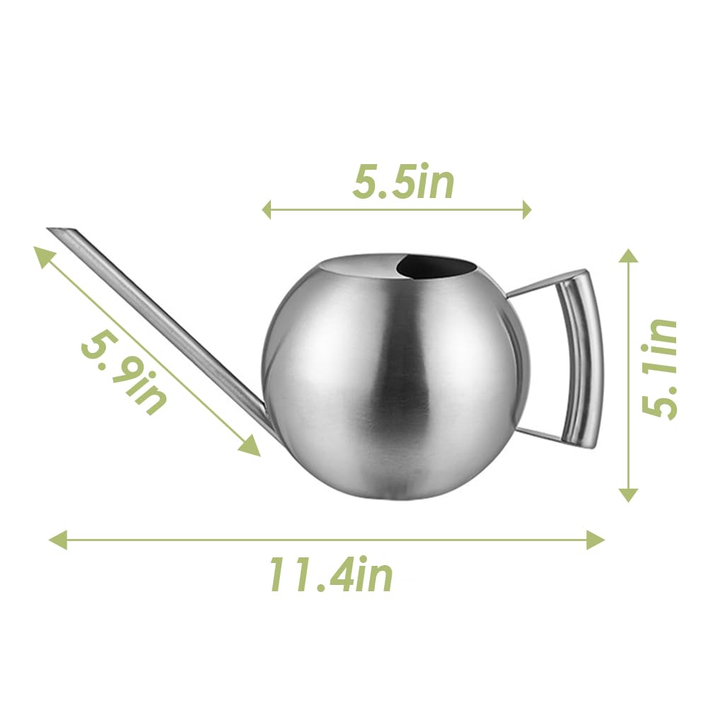 Chemlliy Watering Can with Long Spout and Comfortable Handle, 35 oz/1000ml Small Watering Can for Indoor Plants, Stainless Steel Garden Watering Pot for Indoor House Plants Bonsai Flower Decorative