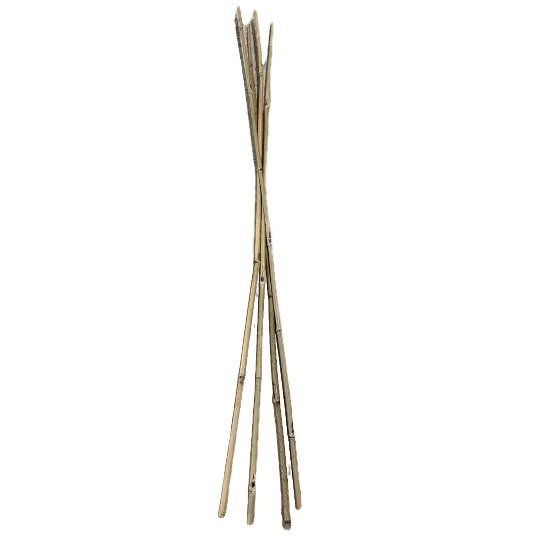 Farm Plastic Supply - Bamboo Garden Stakes - Bambo Sticks, Bamboo Plant Stakes for Outdoor Plants, Plant Support Stakes for Indoor Plants (7 Foot, 75)