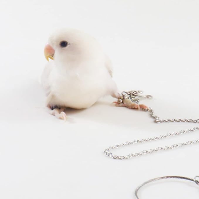 Bird Foot Chain Flying Stainless Steel Training Rope Outdoor Parrot Ankle Foot Ring Accessories Bird Harness Leash Prevent Escaping (7#)