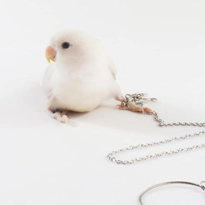 Bird Foot Chain Flying Stainless Steel Training Rope Outdoor Parrot Ankle Foot Ring Accessories Bird Harness Leash Prevent Escaping (5#)