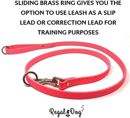 Regal Dog Products Medium Pink Waterproof Dog Collar and Leash Set | Heavy Duty Double Buckle & D Ring - 5'ft Leash | Adjustable Biothane Dog Collar | Chew Resistant Waterproof Collar for Dogs