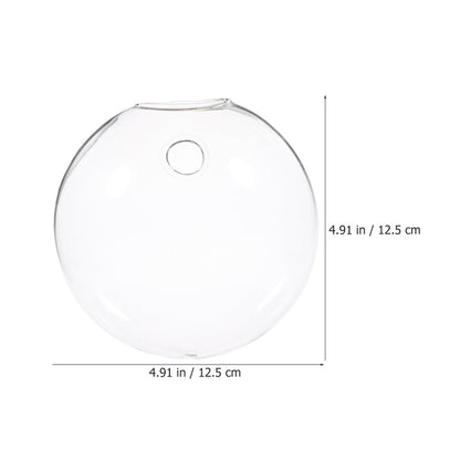 BESPORTBLE 4pcs Wall Mounted Glass Containers Hydroponic Plant Holders Glass Vases for Indoor Balcony Decor and Terrarium Display