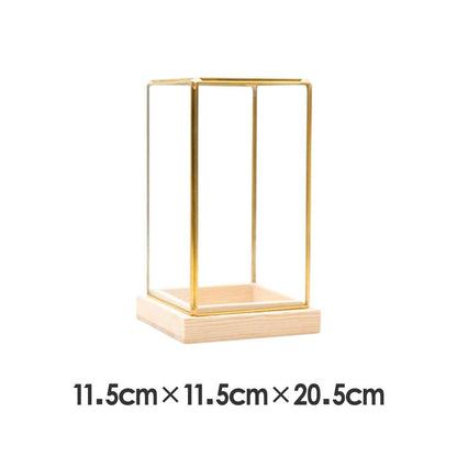 homozy Generic Glass Display Case Decorative Dustproof Showcase with Brass Frames, Lock, Displaying Box for Collectibles Jar Terrarium Plants Glass Container, S