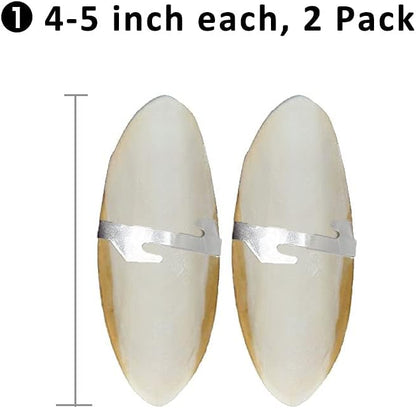 Natural Cuttlebone for Birds Parakeets Canaries Cockatiels Small Conures Mynahs Toucans African Greys All Parrots Snails Totoise, with Holder for Bird Cage (4-5 inch,2PCS)