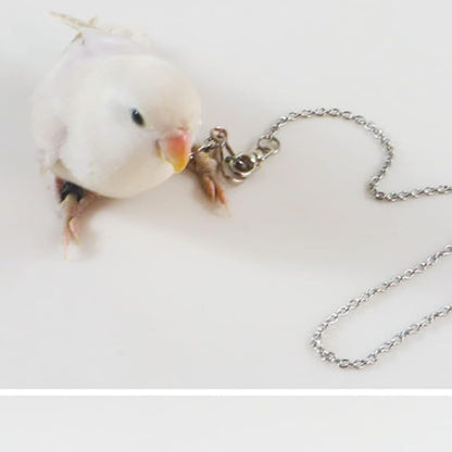 Bird Foot Chain Flying Stainless Steel Training Rope Outdoor Parrot Ankle Foot Ring Accessories Bird Harness Leash Prevent Escaping (5#)