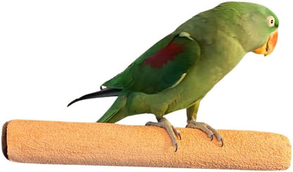 Polly's Pastels Nail Trimming & Beak Conditioning Safety Perch for Cockatiels, Cockatoos, Macaws, Parakeets, Budgies, Parrots and All Other Birds (Coral, X-Large Long-2" Dia. x 14" Long)