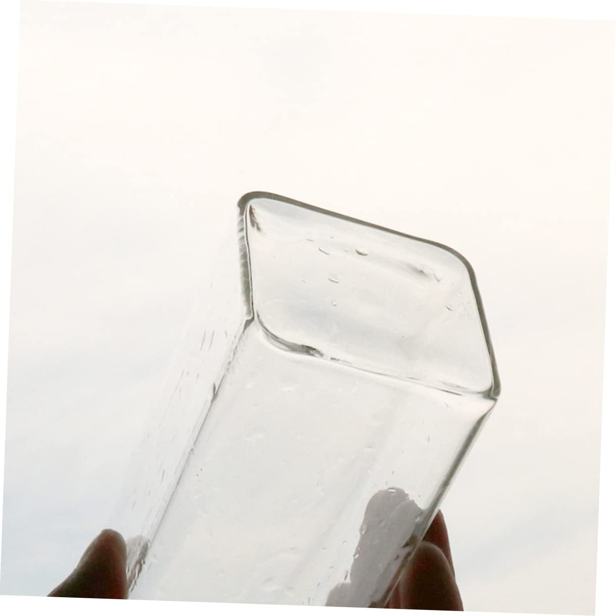 POPETPOP Creative Hanging Glass Vase for Wall Unique Terrarium Planter for Home Decor for Indoor Plants Living Room and Bedroom Aesthetics