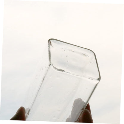 POPETPOP Creative Hanging Glass Vase for Wall Unique Terrarium Planter for Home Decor for Indoor Plants Living Room and Bedroom Aesthetics