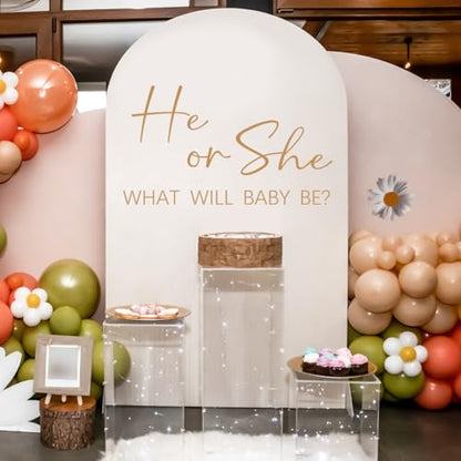 He or She Baby Gender Reveal Wall Decals - Vinyl Stickers for Backdrop Party Supply