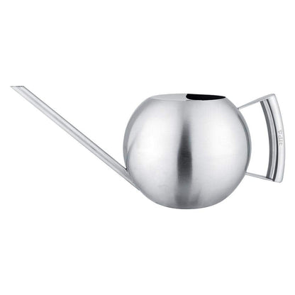 Fdit Watering Can for Indoor Plants, Stainless Steel, Long Spout, 1.0L, Silver, 11.42 Inch