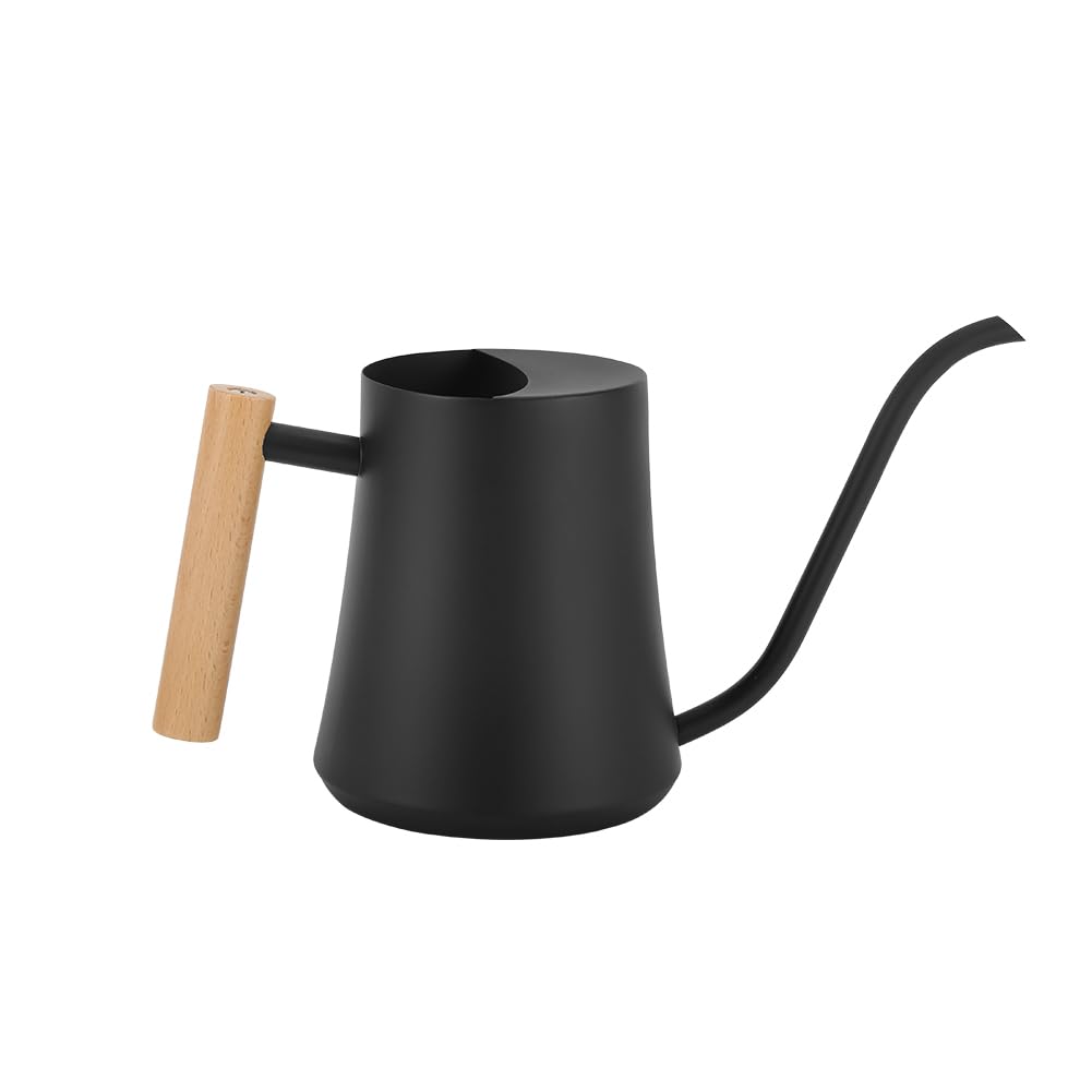 Epalace Indoor Watering Can Stainless Steel Watering Can for Indoor Plants with Long Spout, 35oz/1L