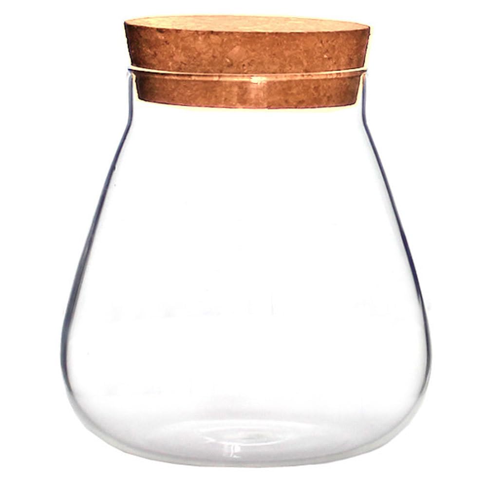 HOMSFOU Plant Propagation Station Terrarium Glass Planter Vase with Cork Clear Plant Holder Flower Jars Hydroponics Air Planter Holder Candy Jar for Home Office