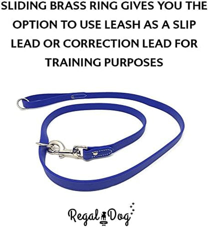 Regal Dog Products Large Blue Waterproof Dog Collar and Leash Set | Heavy Duty Double Buckle & D Ring - 5'ft Leash | Adjustable Biothane Dog Collar | Chew Resistant Waterproof Collar for Dogs