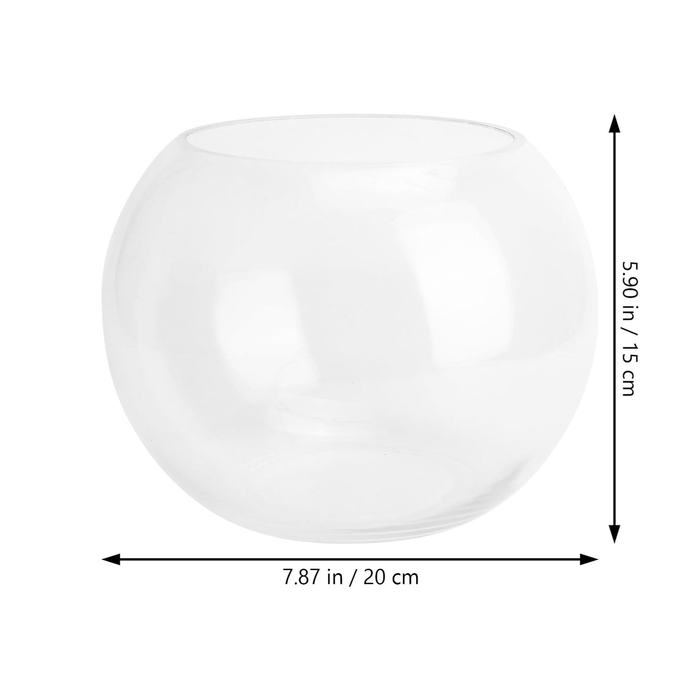 Healeved Glass Hydroponic Plant Vase 20cm Round Fish Tank Terrarium Holder Desktop Flower Pot for Home Office Decor
