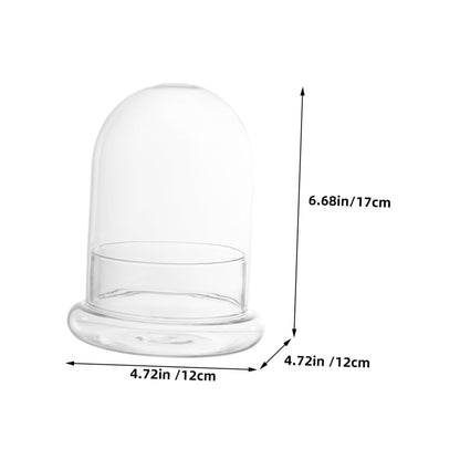 Totority 2pcs Glass Ecological Terrarium Bottle for DIY Micro Landscape Display Decorative Container for Desk Plants and Miniature Gardens