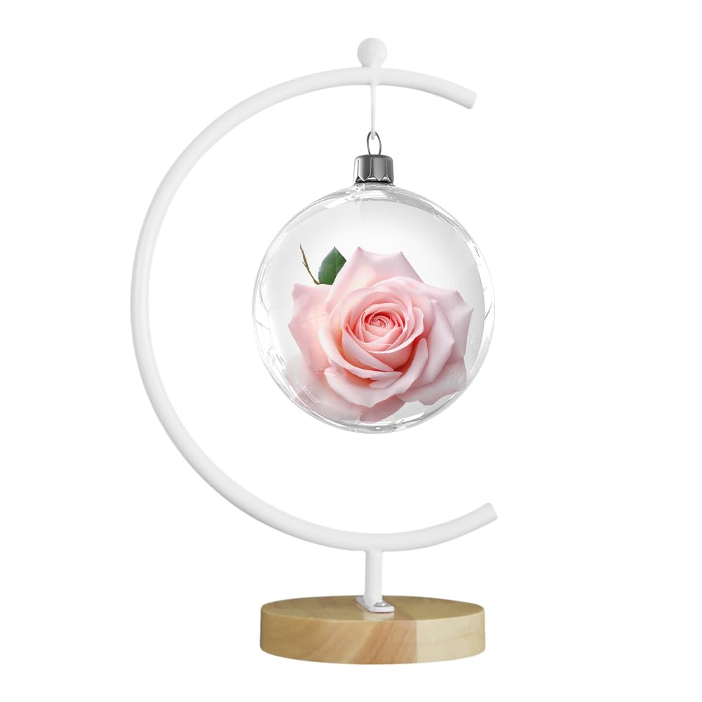 YY YEARCHY Ornament Display Stand Large Metal Air Plant Flower Pot Holder Iron Pothook for Hanging Glass Terrarium Globe Ball