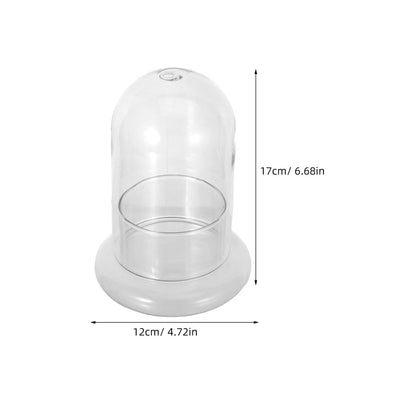 Yardwe 2Pcs Micro Landscape Bottle Terrarium Glass Jars - 6.69X4.72X4.72In Ecological Decorative Bottles for Home Office DIY Plant Display