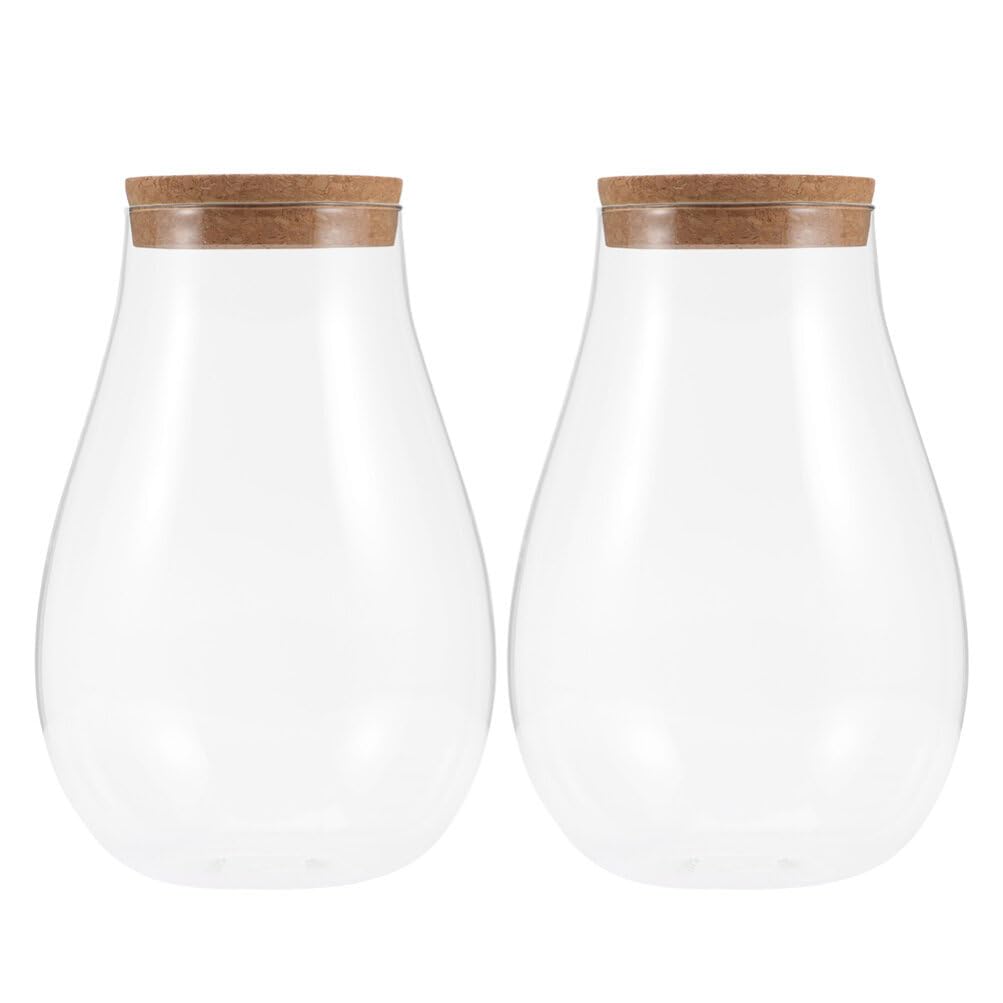 INOOMP 2pcs Glass Plant Terrarium, Tabletop Succulent Planter Sealed Glass Bottles Vial Air Plant Planter Candy Cookie Jar Fish Bowl Vase with Cork Top