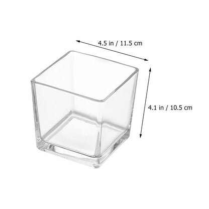 SECFOU 4.5 Inch Cube Glass Vase for Succulent Plants and Greenery, Small Terrarium Planter Pot for Hydroponic Use, Decorative Tabletop Flower Container for Home and Office