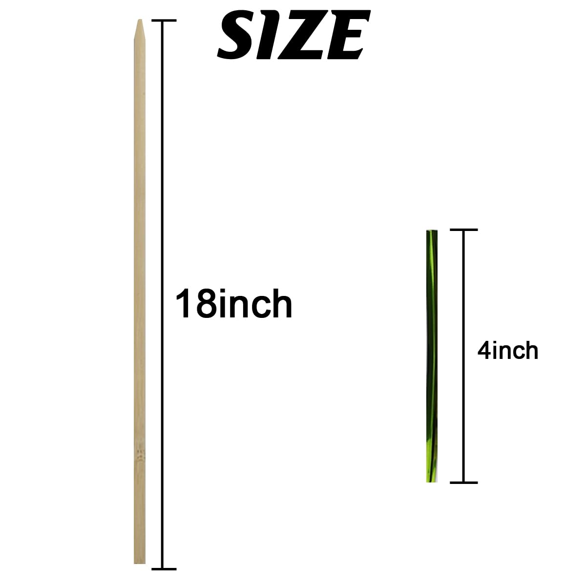 TIHOOD 100PCS 18" Wooden Garden Stakes with 100PCS 4" Garden Ties, Green Bamboo Sticks, Floral Plant Support, Tomato Stakes (Natural)