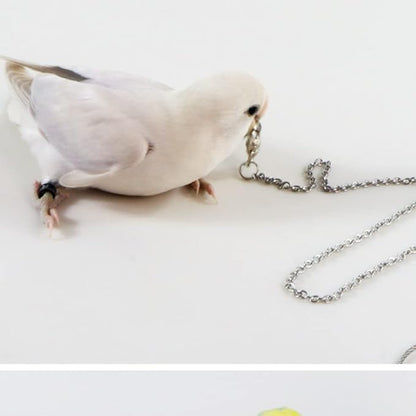 Bird Foot Chain Flying Stainless Steel Training Rope Outdoor Parrot Ankle Foot Ring Accessories Bird Harness Leash Prevent Escaping (6#)