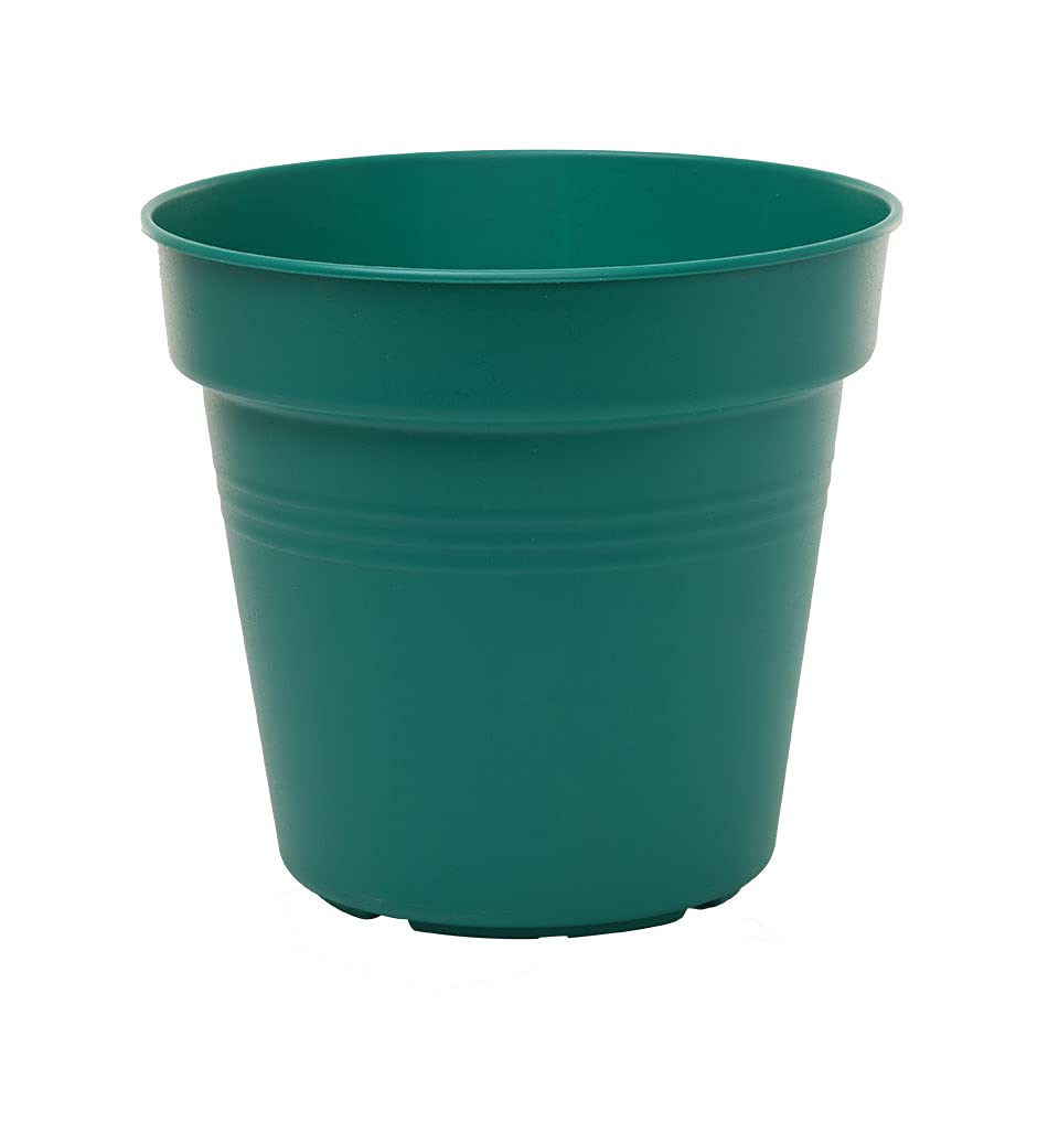 Mintra Garden Pots, 4 Pack Bulk Plastic Plant Pots with Drainage Tray, Round Indoor & Outdoor Decorative Planters with Drain Holes for Flowers, Herbs & Plants, 19cm Diameter – Forest Green, 7.5 in