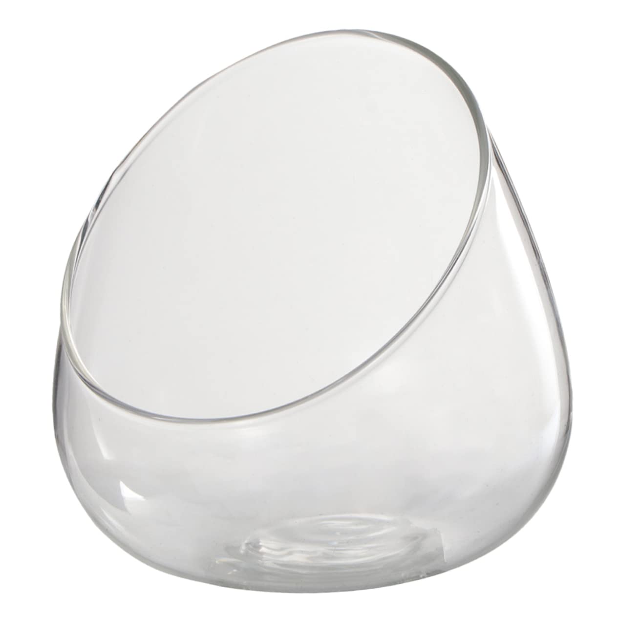 VICASKY Glass Landscape Bottle for and Air Plants Multi-Purpose Terrarium Container for Home Decor and Creative Displays