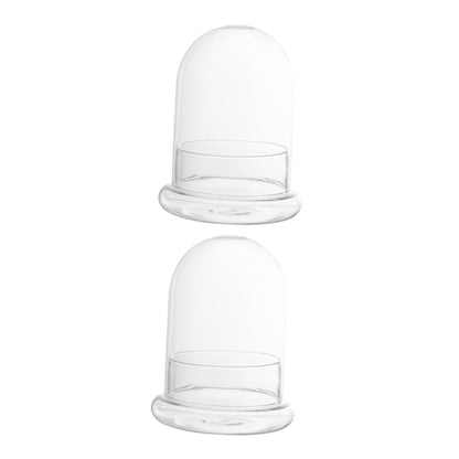 FUNOMOCYA 2pcs Eco Bottle Moss Micro Landscape Bottle Glass Terrarium DIY Plant Container