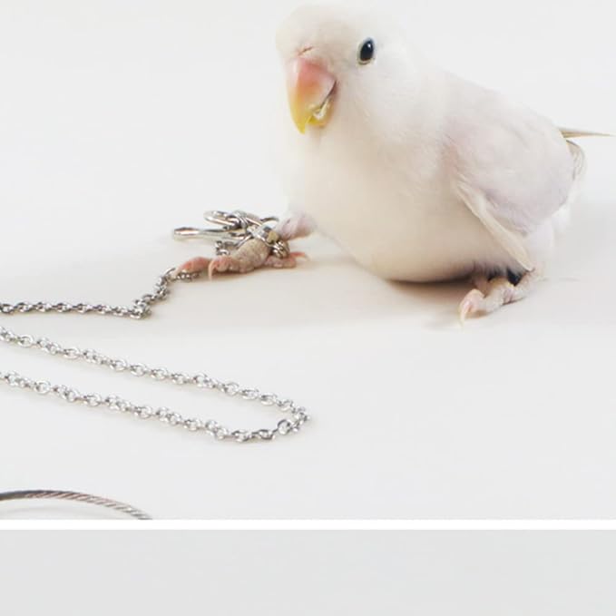 Bird Foot Chain Flying Stainless Steel Training Rope Outdoor Parrot Ankle Foot Ring Accessories Bird Harness Leash Prevent Escaping (6#)