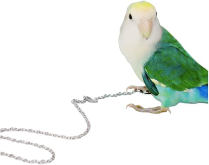 Bird Foot Chain Flying Stainless Steel Training Rope Outdoor Parrot Ankle Foot Ring Accessories Bird Harness Leash Prevent Escaping (7#)