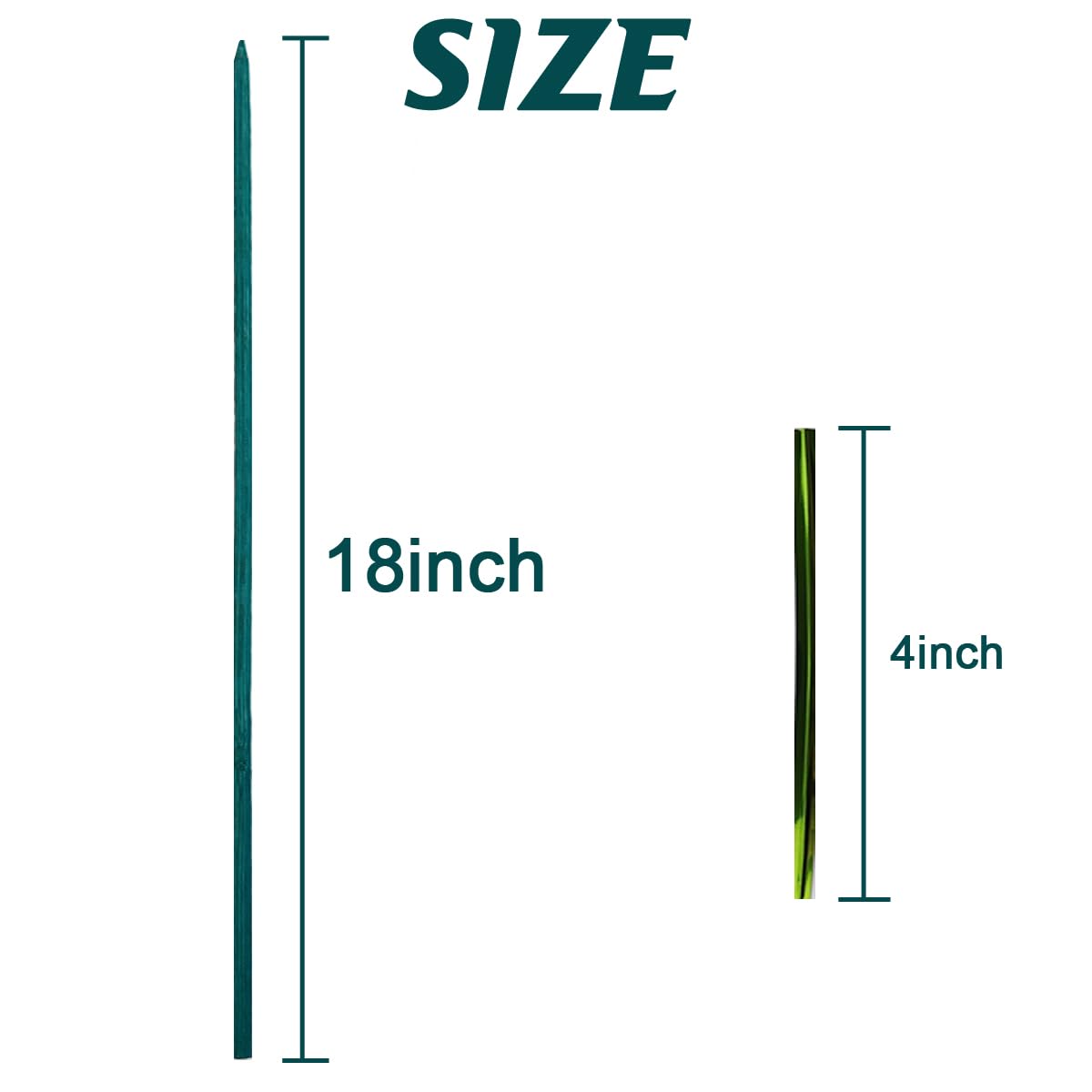 TIHOOD 100PCS 18" Wooden Garden Stakes with 100PCS 4" Garden Ties, Green Bamboo Sticks, Floral Plant Support, Tomato Stakes