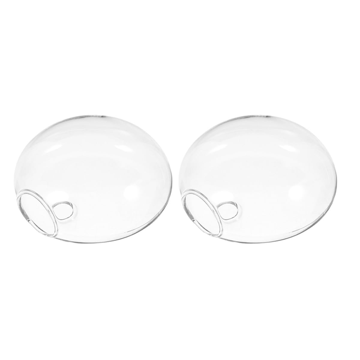 Homoyoyo 2pcs Glass Wall Hanging Hydroponic Vase Set, Flat Glass Planter for Indoor Plants, Decorative Wall-Mounted Terrarium Container for Home and Office