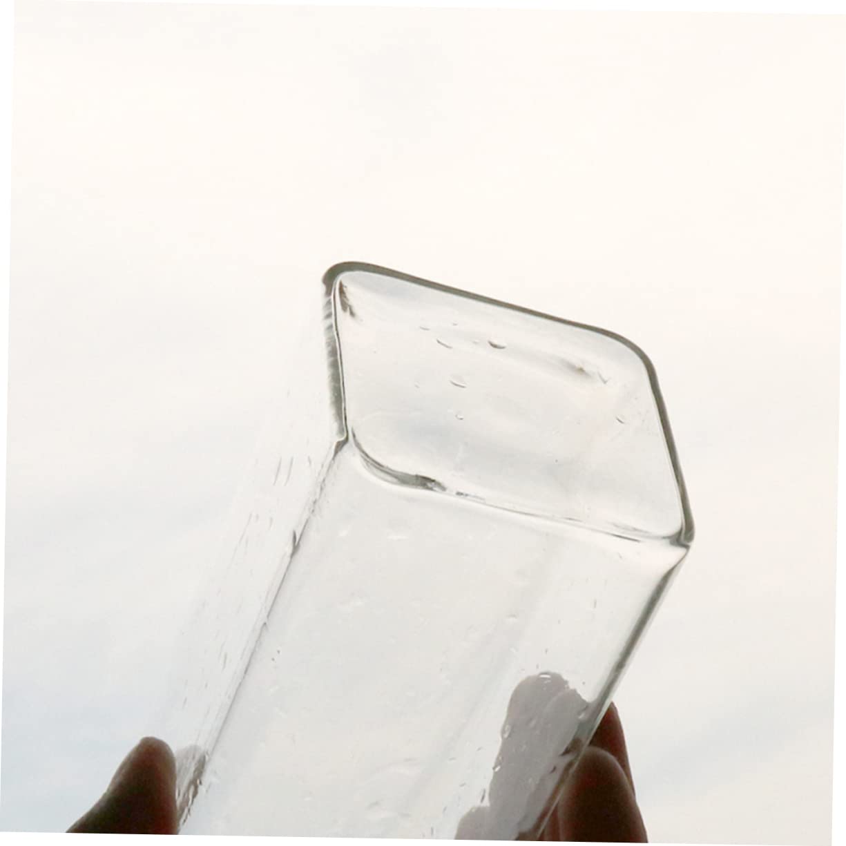 GAROZATION Hanging Glass Flower Vase for Hydroponics Creative Wall Planter Terrarium Container for Home and Plant Watering Unique Design for Bedroom and Room