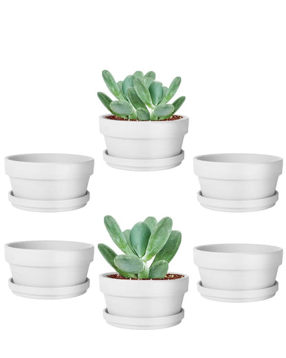 vensovo 3.7 Inch White Terracotta Shallow Succulent Pots - 6 Pack Terra Cotta Clay Pot with Saucer, Cacuts Indoor and Outdoor Planters with Drainage Hole
