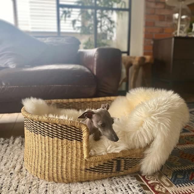 Woven Dog Bed Basket–Gifts for Dogs–Small to XXL Dog Bed–Large Bed for Large Dogs–Elegance and Decorative Bed for Your Dog–Comfortable Dog Bed–Small Dog Bed (Large, Bobo)