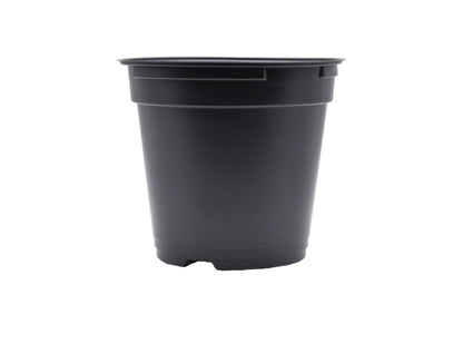 Daisy J&M 100ct Black Round 4.33" Pots with Holes