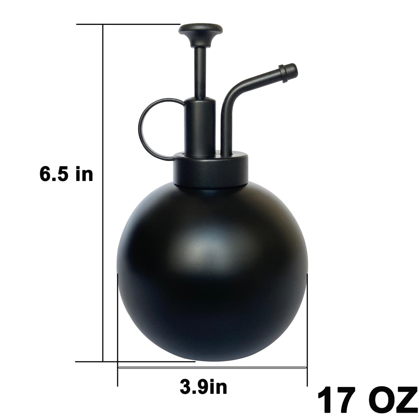 Lianshi Stainless Steel Plant Sprayer, Small Watering Can, Modern Gardening Tool for Indoor Potted Plants