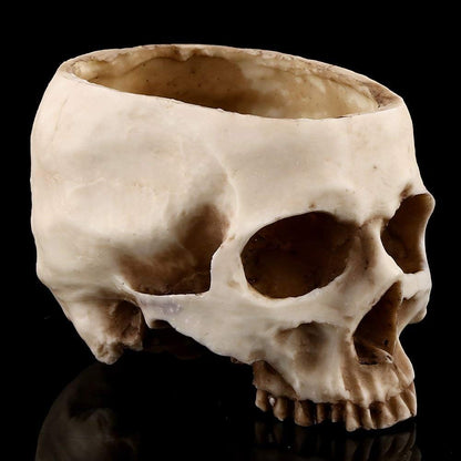 TOPINCN Modern Resin Skull Shaped Head Design Flower Pot Planter Container Decoration Large Flowerpot Set Props for Home Office Desk Decoration