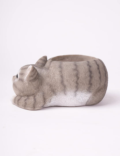HAUCOZE Cat Statue Planter Succulent Pot Modern Animal Sculpture Home Decor Gift for Bookshelf Garden 7.9 Inch