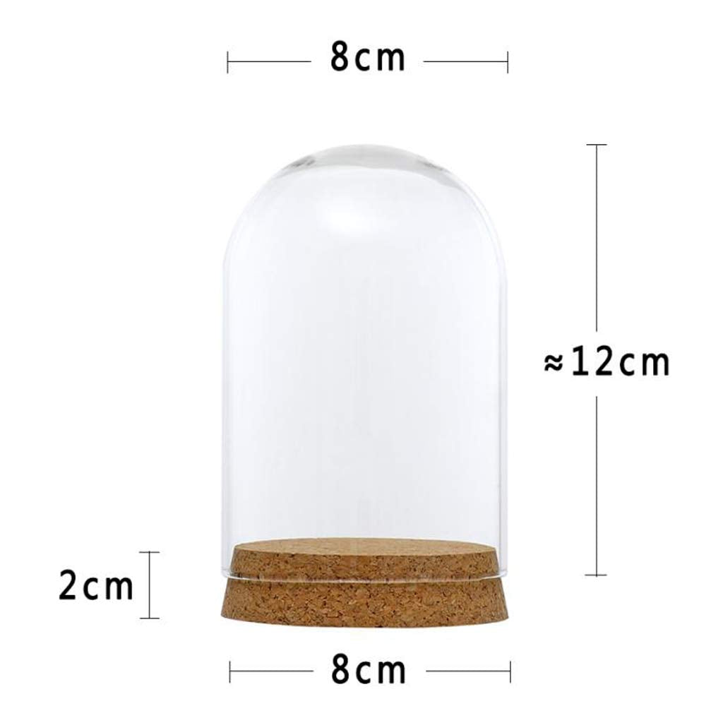 FLAMEER 10Pieces 8x12cm Clear Glass Dome Cover Cloche Bell Jar Succulent Terrariums w/Wooden Cork Base Home Study Room Decor