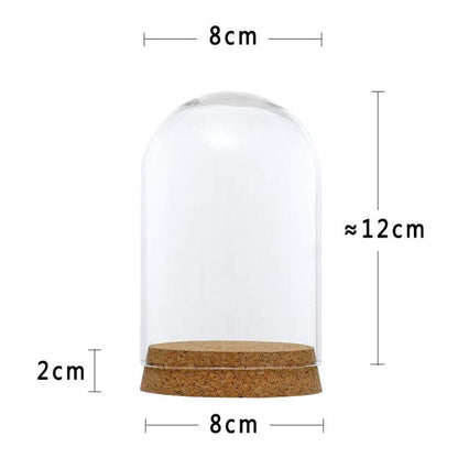 FLAMEER 10Pieces 8x12cm Clear Glass Dome Cover Cloche Bell Jar Succulent Terrariums w/Wooden Cork Base Home Study Room Decor