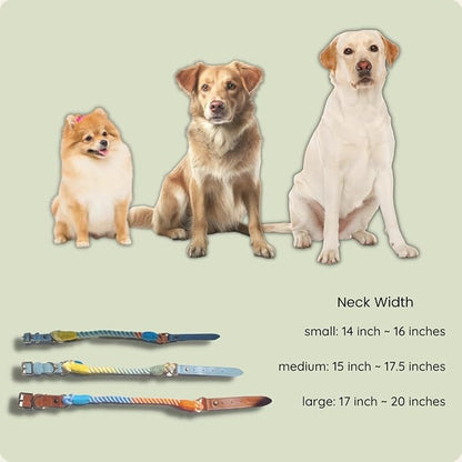 Pawtopia 5FT Dog Leash & Collar Set - Small Dogs, Cotton Braided Rope with Vegan Leather Handle (Brown) with Two Complimentary Rolls of Dog Poop Bags (30 Bags), Durable Clasp (Vivid Rainbow, Small)