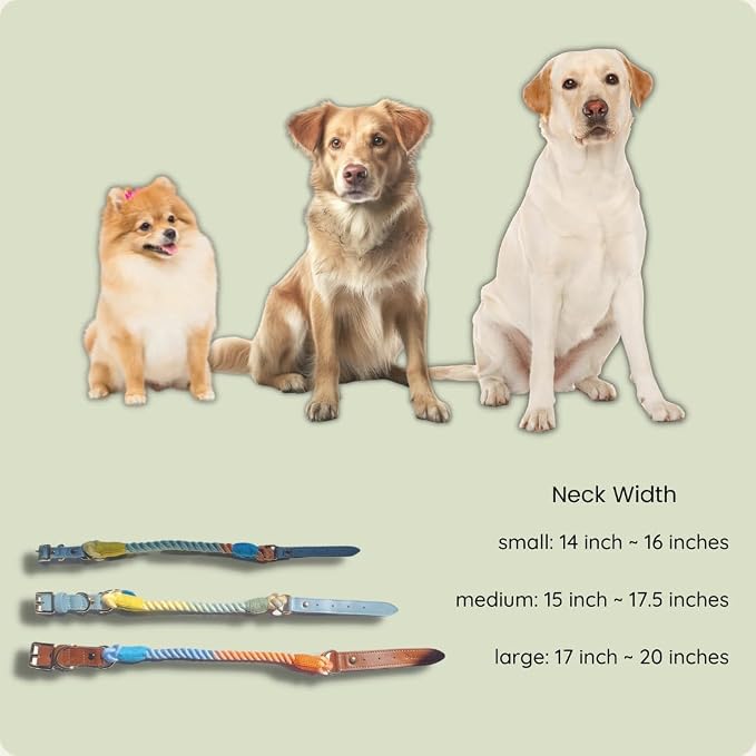 Pawtopia 5FT Dog Leash & Collar Set - Large Dogs, Cotton Braided Rope with Vegan Leather Handle (Brown) with Two Complimentary Rolls of Dog Poop Bags (30 Bags), Durable Clasp (Vivid Rainbow, Large)